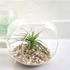 MyGift Clear Glass Hanging Air Plant Terrarium Globe, Tea Light Candle Holder with Black Metal Stand
