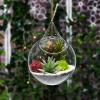MyGift Clear Glass Hanging Terrarium Globe, Mini Decorative Air Plant Holder Set of 2