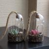 MyGift Hanging Planter Plant Terrarium, Clear Glass Cylindrical Succulent Holder with Top Knot Hanger Rope, Set of 2