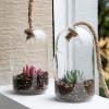 MyGift Hanging Planter Plant Terrarium, Clear Glass Cylindrical Succulent Holder with Top Knot Hanger Rope, Set of 2