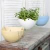 MyGift Hanging Planter Self-Watering Indoor Pots with Drainage Hole, 3 Pack Hanging Plant Container with Metal Chain (Blue/Yellow/White)