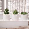 MyGift Mini Artificial Succulent Plants, Fake Indoor House Plants Living Room Decoration in Modern White Round Ceramic Pots, Set of 3