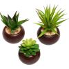 MyGift Mini Assorted Artificial Succulents in Round Black Ceramic Pots, Mixed Realistic Indoor House Plants, Set of 3(Brown)