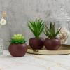 MyGift Mini Assorted Artificial Succulents in Round Black Ceramic Pots, Mixed Realistic Indoor House Plants, Set of 3(Brown)