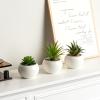 MyGift Mini Assorted Artificial Succulents in Round Black Ceramic Pots, Mixed Realistic Indoor House Plants, Set of 3(Glossy White)