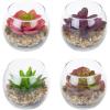 MyGift Mini Assorted Fake Succulents Artificial Plants for Home Decor Indoor Plant in Round Glass Display Vases, Set of 4