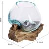 MyGift Mini Natural Driftwood & Molten Glass Bowl Tabletop Plant Terrarium