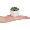 MyGift Miniature Artificial Succulents, Indoor Fake House Plants in Round White Geometric Ceramic Pots, Set of 4(Assortment #3)