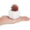 MyGift Miniature Artificial Succulents, Indoor Fake House Plants in Round White Geometric Ceramic Pots, Set of 4(Red (Set of 3))