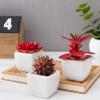 MyGift Miniature Artificial Succulents, Indoor Fake House Plants in Round White Geometric Ceramic Pots, Set of 4(Red (Set of 3))
