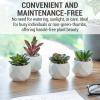 MyGift Miniature Artificial Succulents, Indoor Fake House Plants in Round White Geometric Ceramic Pots, Set of 4(White (Set of 4))