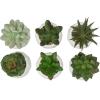 MyGift Miniature Artificial Succulents, Indoor Fake House Plants in Round White Geometric Ceramic Pots, Set of 4(White (Set of 6))