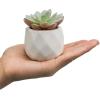 MyGift Miniature Artificial Succulents, Indoor Fake House Plants in Round White Geometric Ceramic Pots, Set of 4(White (Set of 6))