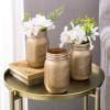 MyGift Modern Style Decorative Glass Copper Painted Mason Jar Flower Vases, Set of 3
