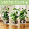 MyGift Set of 3 Fake Plants, Small Artificial Potted Plants Indoor in Clear Glass Pot, 9.5 Inch Faux Plant for Home Decor(Clear (Earth Tone Pebbles))