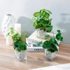 MyGift Set of 3 Fake Plants, Small Artificial Potted Plants Indoor in Clear Glass Pot, 9.5 Inch Faux Plant for Home Decor(Clear (White Pebbles))