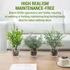 MyGift Set of 3 Fake Plants, Small Artificial Potted Plants Indoor in Clear Glass Pot, 9.5 Inch Faux Plant for Home Decor(Green)