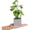 MyGift Set of 3 Fake Plants, Small Artificial Potted Plants Indoor in Clear Glass Pot, 9.5 Inch Faux Plant for Home Decor(Grey)