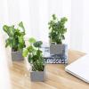 MyGift Set of 3 Fake Plants, Small Artificial Potted Plants Indoor in Clear Glass Pot, 9.5 Inch Faux Plant for Home Decor(Grey)
