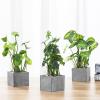 MyGift Set of 3 Fake Plants, Small Artificial Potted Plants Indoor in Clear Glass Pot, 9.5 Inch Faux Plant for Home Decor(Grey)