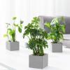 MyGift Set of 3 Fake Plants, Small Artificial Potted Plants Indoor in Clear Glass Pot, 9.5 Inch Faux Plant for Home Decor(Grey)