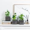 MyGift Set of 3 Fake Plants, Small Artificial Potted Plants Indoor in Clear Glass Pot, 9.5 Inch Faux Plant for Home Decor(Rustic Grey)