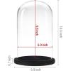 MyGift The Bell Jar Glass Cloche with Rustic Wood Base, 10 Inch Tall Clear Decorative Glass Dome Display for Plants, Curios, Keepsakes, Heirlooms(Black)