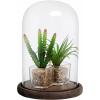 MyGift The Bell Jar Glass Cloche with Rustic Wood Base, 10 Inch Tall Clear Decorative Glass Dome Display for Plants, Curios, Keepsakes, Heirlooms(Burnt Wood)