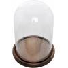 MyGift The Bell Jar Glass Cloche with Rustic Wood Base, 10 Inch Tall Clear Decorative Glass Dome Display for Plants, Curios, Keepsakes, Heirlooms(Burnt Wood)