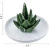 MyGift White Ceramic Ring Dish Holder, Jewelry Engagement Ring Holder, Trinket Tray with Gold Trim(Ceramic Aloe)