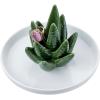 MyGift White Ceramic Ring Dish Holder, Jewelry Engagement Ring Holder, Trinket Tray with Gold Trim(Ceramic Aloe)
