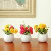 Set of 3 Mini White Ceramic Wall Mountable Plant Vase, 4 Inch Hanging Succulent Pots