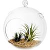 7-Inch Large Clear Glass Hanging Air Plant Terrarium Ball/Votive Candle Holder w/Flat Base & Loop Hook