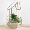 9 Inch Modern Polygonal Brass-Framed and Glass Tabletop Succulent Plant Terrarium Curio