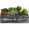 MyGift 10 Inch Artificial Succulent Small Fake Plant Arrangement in Rustic Brown Planter Box with Decorative Bloom & Grow Cursive Writing