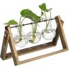 MyGift 3-Glass Planter Bulb Vases Hydroponic Plant Terrarium with Wood & Metal Swivel Stand