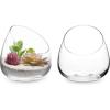 MyGift 5 Inch Premium Clear Glass Air Plant Terrarium, Mini Candy Bowl Jar, Tealight Candle Holder, Succulent Cactus Plant Vase, Set of 2(Set of 2)