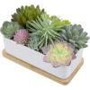 MyGift Artificial Succulent Centerpiece,15.75 Inch Faux Succulents Arrangement Plants in Sleek Black Wooden Rectangular Planter Box(White（wood Tray）)