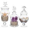 MyGift Clear Glass Apothecary Jars with Lid, Decorative Seashell Design Bathroom Canister, Footed Candy Buffet Containers, Set of 3