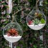 MyGift Clear Glass Hanging Terrarium Globe, Mini Decorative Air Plant Holder Set of 2