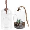 MyGift Hanging Planter Plant Terrarium, Clear Glass Cylindrical Succulent Holder with Top Knot Hanger Rope, Set of 2
