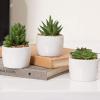 MyGift Mini Artificial Succulent Plants, Fake Indoor House Plants Living Room Decoration in Modern White Round Ceramic Pots, Set of 3