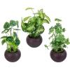 MyGift Mini Assorted Artificial Succulents in Round Black Ceramic Pots, Mixed Realistic Indoor House Plants, Set of 3(Brown (Green Leaf))