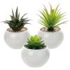 MyGift Mini Assorted Artificial Succulents in Round Black Ceramic Pots, Mixed Realistic Indoor House Plants, Set of 3(Glossy White)