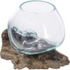 MyGift Mini Natural Driftwood & Molten Glass Bowl Tabletop Plant Terrarium
