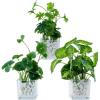 MyGift Set of 3 Fake Plants, Small Artificial Potted Plants Indoor in Clear Glass Pot, 9.5 Inch Faux Plant for Home Decor(Clear (White Pebbles))