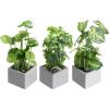 MyGift Set of 3 Fake Plants, Small Artificial Potted Plants Indoor in Clear Glass Pot, 9.5 Inch Faux Plant for Home Decor(Grey)