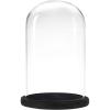 MyGift The Bell Jar Glass Cloche with Rustic Wood Base, 10 Inch Tall Clear Decorative Glass Dome Display for Plants, Curios, Keepsakes, Heirlooms(Black)