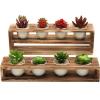 MyGift White Ceramic Mini Plant Pot with Rustic Burnt Wood Tiered Stand, Succulent Garden Pots with Tray Set for Office Desk, Home Decor, 10 Piece Set (8 Planters and 2 Stands)