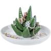 MyGift White Ceramic Ring Dish Holder, Jewelry Engagement Ring Holder, Trinket Tray with Gold Trim(Ceramic Aloe)